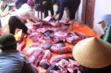 Thực hư thông tin cá voi dạt bờ biển Nam Định bị dân xẻ thịt bán