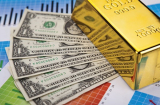 Giá vàng, Đô la Mỹ hôm nay 28-1: Vàng tăng nhẹ, Đô la Mỹ giảm sâu