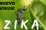 Cảnh báo: Đông Nam Á có thể đang ủ dịch virus ăn não người Zika