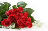Ý nghĩa của hoa hồng trong ngày valentine