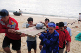 Cá voi dạt vào bờ biển Bình Định mùng 7 Tết