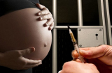 Vụ tử tù có thai: Sử dụng mật ngữ và kẽ hở 1cm để giao tinh trùng
