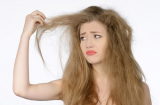 Phục hồi tóc hư tổn cấp tốc không cần phải ra tiệm