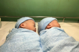 Cặp song sinh nhờ mang thai hộ đầu tiên tại Việt Nam chào đời