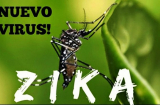 Bộ Y tế khẳng định: “Việt Nam chưa có ca nhiễm virus Zika”