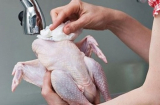 Thực hư thông tin rửa thịt gà trước khi nấu sẽ gây chết người