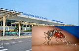 Thực hư muỗi truyền virus Zika xuất hiện ở sân bay Đà Nẵng?