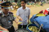 Phát hiện 1 tấn măng nhuộm chất cấm ở Quảng Trị