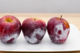 Nhận biết táo bọc sáp bảo quản và cách loại bỏ sáp