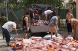 Bắt hơn 1 tấn thịt heo thối trên đường ra chợ