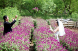 6 địa điểm chụp ảnh với hoa đẹp “hút hồn” ở Hà Nội