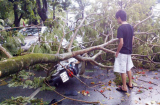 Lốc xoáy kinh hoàng ở Huế, 320 nhà dân bị tốc mái