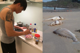 Sợ thịt lợn bẩn, Công Vinh bị ngộ độc vì ăn cá ở Đà Nẵng