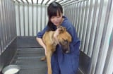 Cô gái xinh đẹp giết 700 con chó tự vẫn bằng thuốc trợ tử