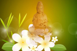 Phật dạy 3 cách tu tâm tạo nghiệp lành để trọn đời hạnh phúc