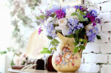 Cây và hoa điểm nhấn trong nhà và yếu tố phong thủy quan trọng