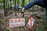 Khu rừng tự sát ở Nhật Bản: Bị ám bởi những linh hồn tự tử