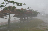 Nam Quảng Ninh đến Bắc Thanh Hóa ảnh hưởng trực tiếp bão số 1