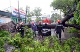 Danh sách các tuyến phố Hà Nội đang bị 'tê liệt' vì cây đổ do bão