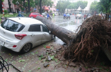 Bão số 1 càn quét ở Hà Nội, cây cối đổ ngổn ngang