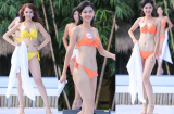 Dàn người đẹp Hoa hậu Việt Nam khoe ba vòng nóng bỏng với bikini