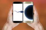 Kiểm tra chất lượng tinh trùng bằng smartphone là gì?