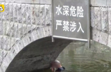 Người đàn ông đau khổ nhảy sông tự tử nhưng chết hụt vì nước chỉ đến ngực