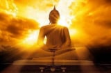 Lời Phật dạy: Tiền tài danh vọng của con người từ đâu mà tới?