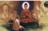 Lời Phật dạy: Miệng luôn nói điều ác, phúc báo sẽ mất đi, đừng hỏi vì sao sống thiện lương mà vẫn phải khổ