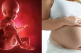 Những điều cấm kỵ trong suốt 9 tháng thai kỳ