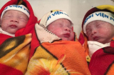 Kỳ diệu ca sinh cả 3 em bé còn nguyên trong bọc ối của người mẹ mới 19 tuổi
