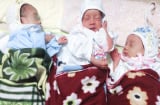 Hình ảnh mới nhất về 3 bé của ca sinh nở còn nguyên trong bọc ối ở viện Phụ sản