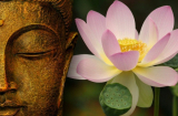 Phật dạy: Làm việc thiện cứu người gặp nạn, tuổi thọ kéo dài 12 năm