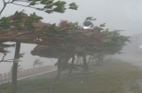 Dự báo thời tiết 6/10: Áp thấp nhiệt đới mới gây mưa lớn, gió giật mạnh