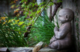 Phật dạy: Con người sống trên đời ngẩng đầu cần ý chí, cúi đầu cần dũng khí
