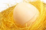 Mẹo nhận biết trứng gà còn tươi hay đã bị ung
