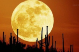 Siêu trăng xuất hiện, điềm báo về thảm họa trái đất sắp gặp?