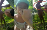 Vụ bé trai 2 tuổi bị đập đầu, bóp mũi, chích điện: Bắt 3 nghi can ác quỷ ở Campuchia