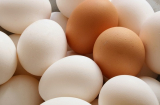 Nếu nhà bạn thường ăn trứng điều gì sẽ xảy ra với cơ thể?