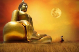 Phật dạy: Người khôn là người biết 'buông bỏ' chứ không phải 'từ bỏ'