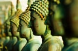 Phật dạy: Người ham mê sắc dục, phạm tội tà dâm sẽ phải gánh chịu quả báo nặng nề