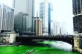 Dòng sông đổi màu xanh đáng sợ khiến mọi người “kinh ngạc”