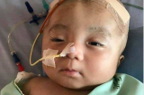 Bé trai bị não úng thủy: Thông tin MỚI NHẤT về bé Đức Lộc sau khi về Việt Nam