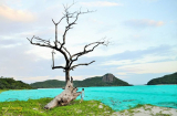 Côn Đảo – hòn đảo hoang sơ, bình yên tuyệt đẹp lên báo CNN