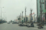 Phú Thọ: Giông lốc 'quật ngã' hàng chục chiếc xe máy nằm la liệt trên đường