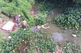 Hưng Yên: Phát hiện th.i th.ể nam thanh niên có hình xăm đang phân hủy dưới sông