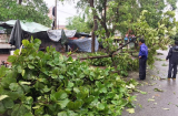Các tỉnh Thanh Hóa - Hà Tĩnh tan hoang sau bão số 2, cảnh báo ngập lụt khu vực nội thành Hà Nội