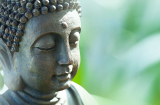 Những câu nói của Đức Phật giúp con người hạnh phúc hơn