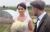 Cô dâu tức giận khi chú rể thuê 50 con lợn làm nhân chứng trong lễ cưới