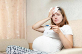 Sốt xuất huyết Dengue là gì? Mang thai mắc sốt xuất huyết có gây dị tật thai nhi?